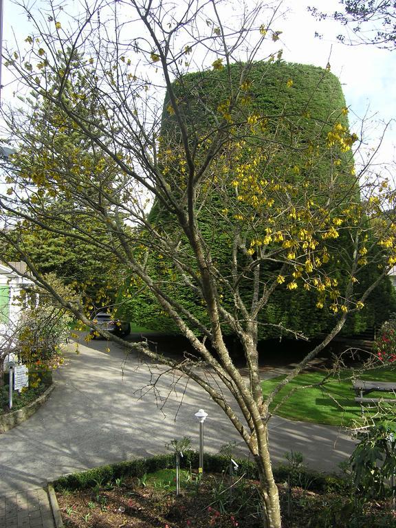 Bucket Tree Lodge Tawa Luaran gambar