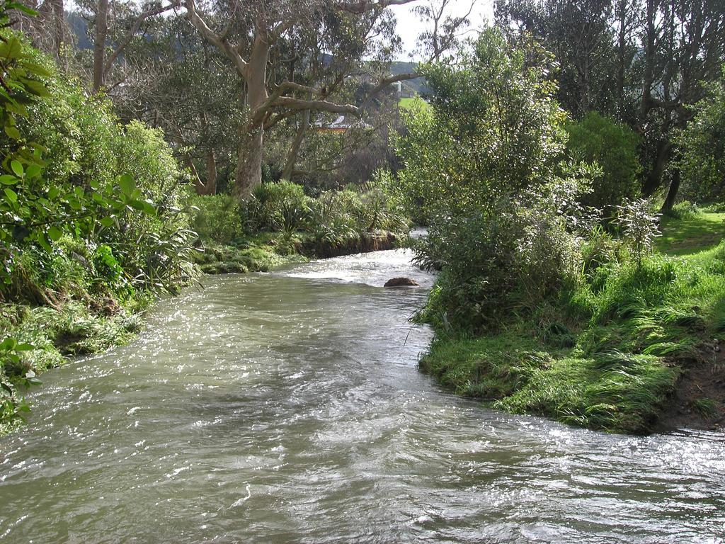 Bucket Tree Lodge Tawa Luaran gambar
